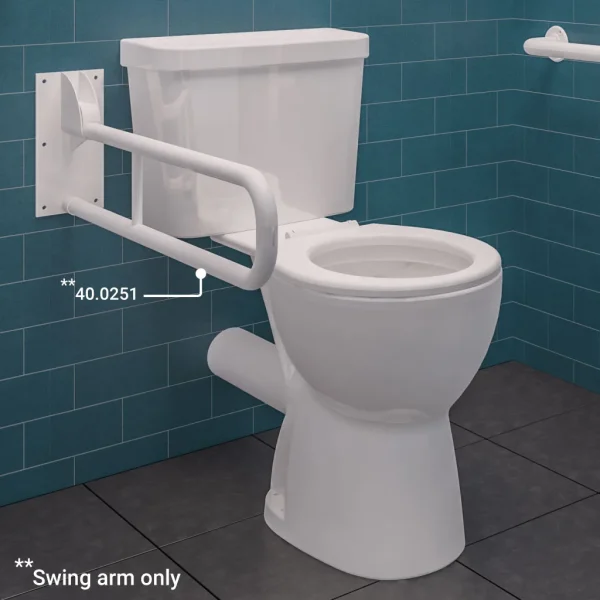 Swing Arm