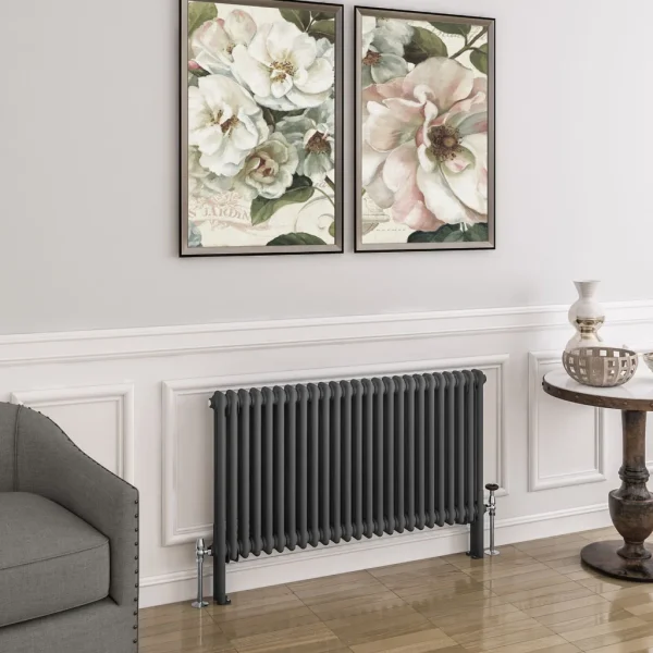 Mild Steel Imperia 2 Matt Anthracite Column Radiator