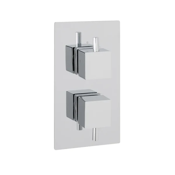 Square twin plate square rings