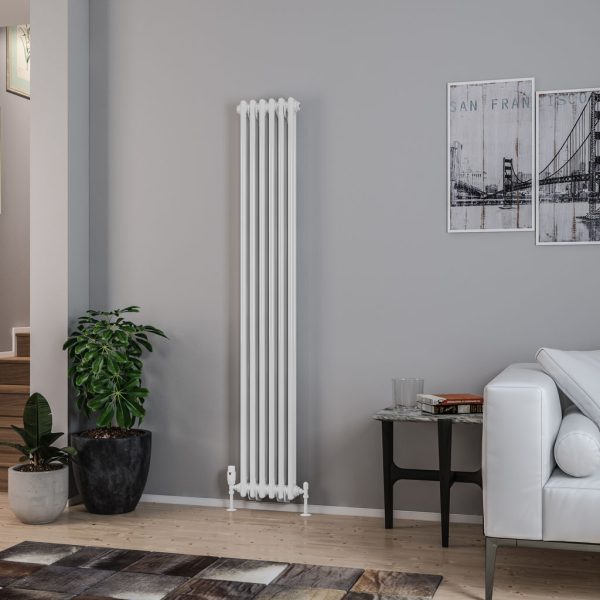 Rivassa 2 Column Radiator