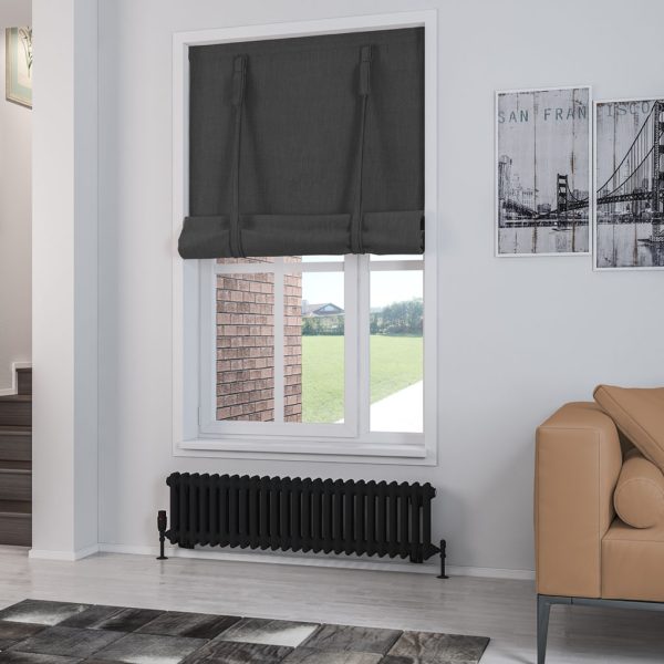 Rivassa 2 Column Matt Black Mild Steel Traditional Radiator