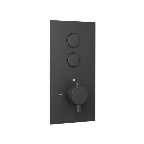 Round Matt Black Concealed Thermostatic Double Push Button Shower Valve