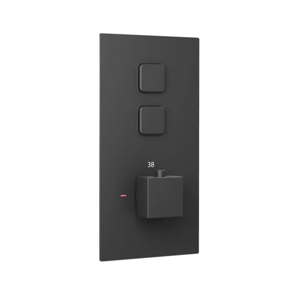 Square Matt Black Concealed Thermostatic Double Push Button Shower Valve