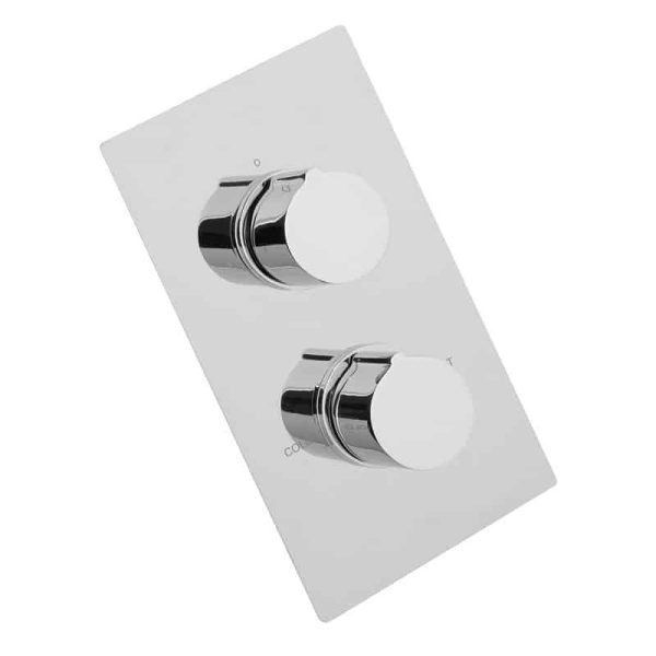 Twin control shower valve only