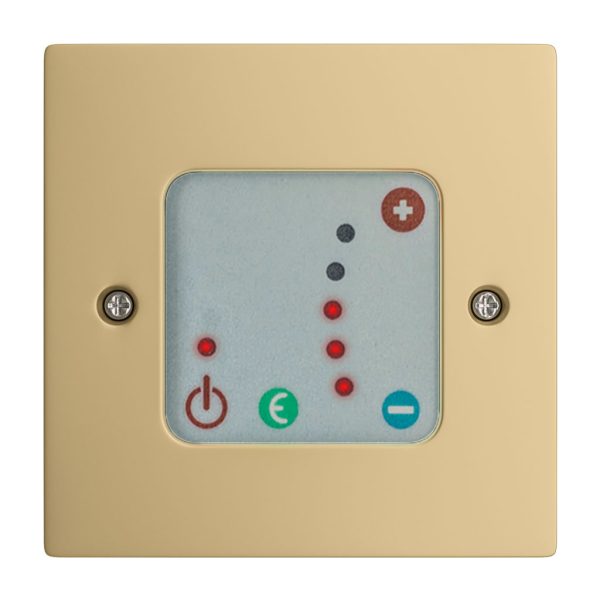Crafton II Brass Effect Temperature Control Panel - Eastbrook